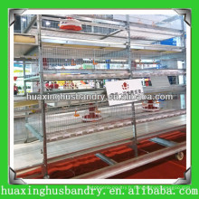 Layer Chicken Cages for Zimbabwe Poultry Farm